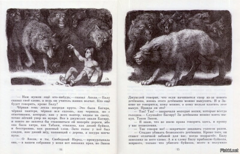 помню в детстве у меня была книга Маугли с шикарными иллюстрациями