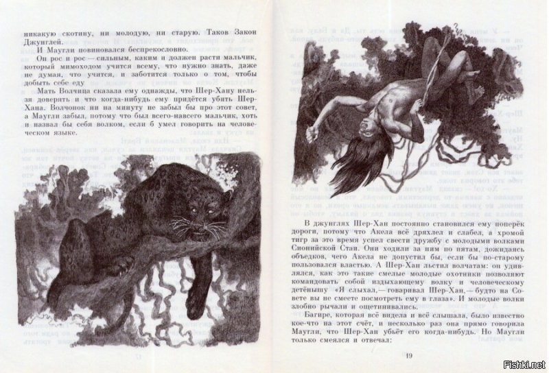 помню в детстве у меня была книга Маугли с шикарными иллюстрациями