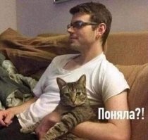 Не алкоголик, любит котов: женщины рассказали, каким должен быть идеальный мужчина
