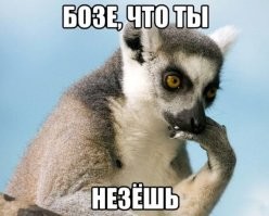 Йожика картинки. Выпуск 157