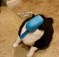 заезженными, протухшими, пропагандистскими мозгами чего-то завоняло)))...