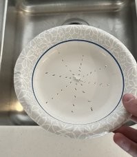 А этот дебил конкретно конченый! Щёлочку между крышкой и кастрюлей остаить и слить воду партия запрещает?
