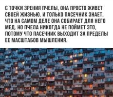 Где все?