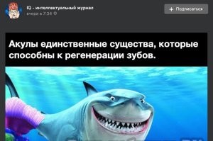 У кошек тоже бывает что вырастают новые зубы, у моего кота (покойного) в 14 лет начали расти новые резцы