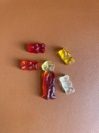 Это ленивец из Ледникового периода.