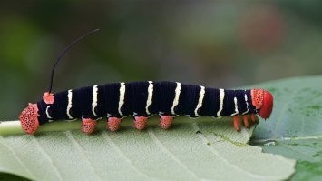 Не ищите здесь смысл. Здесь в основном маразм