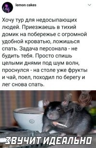 А чем тебе любой курорт или отель помешал , повесил на ручку не беспокоить и спи себе сколько хочешь , пропарил завтрак не беда в обед наверстал или уже на ужин .