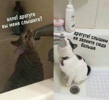 Один из не дозвонившихся