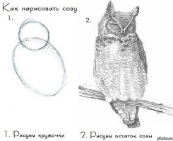 Намешалось