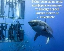 Намешалось