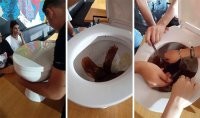 Излишне креативная подача блюд