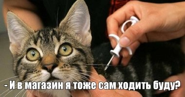А чего им - зря чипы вставляют?