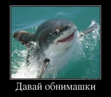 Смешные комментарии из&nbsp;социальных сетей-76