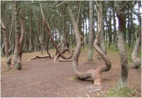 в восточной Пруссии тоже были такие лесники-затейники.