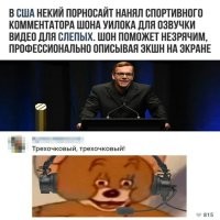 К чему такие сложности? Есть целые библиотеки порнокниг, есть программы и приложения читалки с голосовым сопровождением. В книгах, хоть сюжет есть и описание персонажей, а видеоролики, за исключением полнометражных фильмов, и навигатор озвучить может: " - Повернул её налево, повернул её направо..."