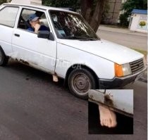 Смешные и познавательные картинки