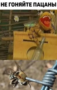 Не ищите здесь смысл. Здесь в основном маразм