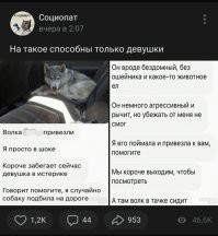 Добрая девушка спасла котика и принесла домой