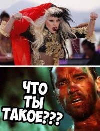 25 неожиданных и странных фактов о Леди Гаге