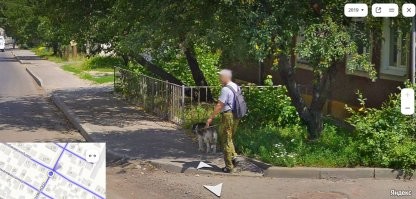 Гулял с собакой и попал на фото.