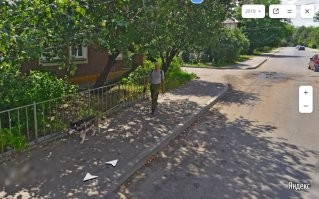 Гулял с собакой и попал на фото.