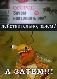 Не ищите здесь смысл. Здесь в основном маразм