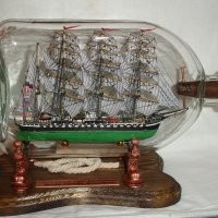 Не такое запихивали...