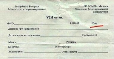 Йожика картинки. Выпуск 159