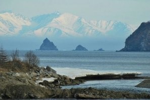 рыба-волк)))  ни разу не слышал чтоб ее так у нас называли, зубатка или морская собак да, а волк не слышал)))) вкусная зараза хоть и страшная, главное ей в пасть пальцы не сувать))))   самый просто вариант по отливу ее среди камней найти,  и крабов)))