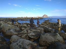 рыба-волк)))  ни разу не слышал чтоб ее так у нас называли, зубатка или морская собак да, а волк не слышал)))) вкусная зараза хоть и страшная, главное ей в пасть пальцы не сувать))))   самый просто вариант по отливу ее среди камней найти,  и крабов)))