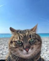 Любое фото мужчины 40+