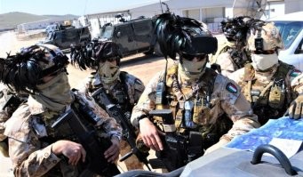 А где же эти пернатые товарищи