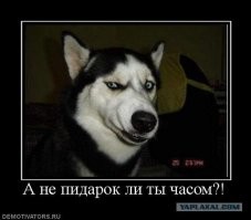 Ну да, когда знаешь, что пол партнёров совпадает...
