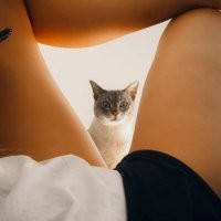 Когда попросили показать свою киску...