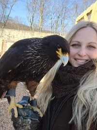 У Сандры новый питомец появился. Южная горная каракара (Phalcoboenus australis)