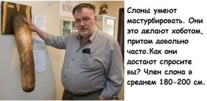 Самые странные и ненужные исследования в истории науки
