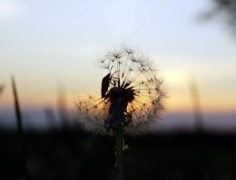 вот эта очень хороша, остальные фотки обычные