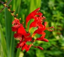 Телефоном съемки? 
Фото ниже кликабельны.