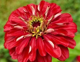 Телефоном съемки? 
Фото ниже кликабельны.