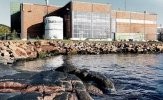 Производительность мембран составила 1 ватт/1 кв метр, при расходе пресной воды 10 литров в секунду под давлением 10 бар. Осмотическая электростанция на Тофте состояла из 2000 кв.метров мембран и вырабатывала 4 кВт.
Короче, потратили куеву хучу миллионов, чтобы вырабатывать энергию для работы пары утюгов. А если учесть, что пресная вода в Европе стоит порядка 10 евро за кубометр - то зуб даю, что это "электростанцию" проектировал Чубайс.