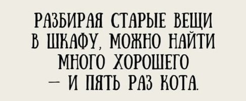 С другом собирали шкаф, кот постоянно "лез помогать", за что был нафиг депортирован из комнаты за закрытую дверь, когда шкаф таки собрали, кот снова был обнаружен в одном из его ящиков

вопрос как