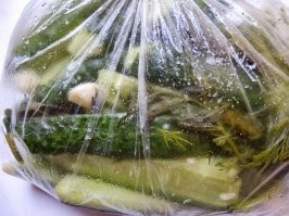 Соль, укроп, чеснок, огурец порезанный в одном пакете - два часа в холодильнике и кушайте на здоровье! Ах, под водочку!