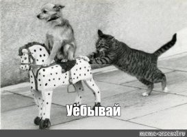 А ты радуйся, Лёва. Голова, не жопа - заживёт.