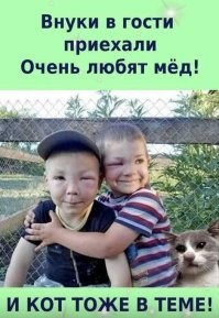 Смешные и познавательные картинки