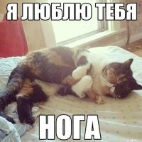 Подборка демотиваторов для отличного настроения