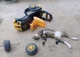 Второй участник ДТП: