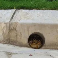 Абсурдные картинки для поднятия настроения