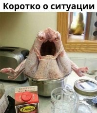 Юмор на грани, или подборка тех самых чёрных шуток