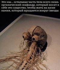 Так они уже тут:
