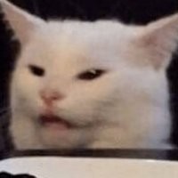 С 5 даже кот офигел.